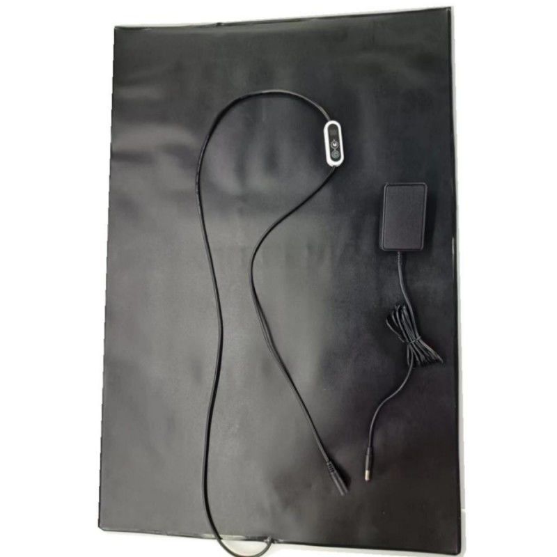 PVC 반려동물 열 매트 12V 난방 패드 60x40cm 개 고양이용 온도 조절기