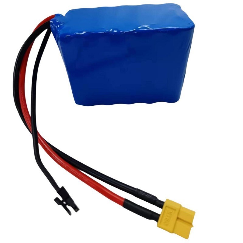 커스텀 배터리 팩 18.5V 7500mAh 5S3P 18650 BMS XT60 커넥터와 함께 리온 배터리