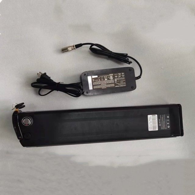 실버 피시 리?? 배터리 48V 25Ah 길이 630mm 충전기와 함께