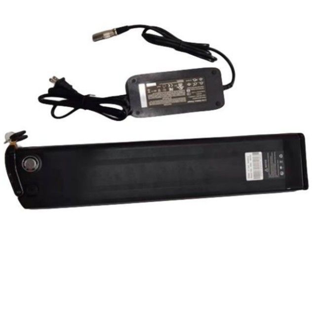 실버 피시 리?? 배터리 48V 25Ah 길이 630mm 충전기와 함께